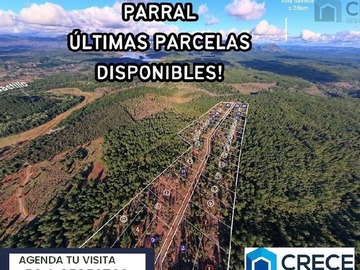 Venta / Parcela / Parral