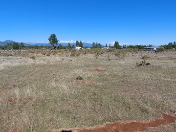 Venta / Parcela / Parral