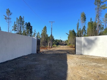 Venta / Parcela / Parral
