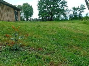 Venta / Parcela / Parral