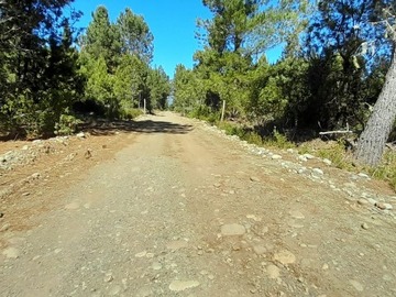 Imagen 5