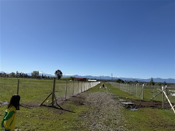 Imagen 12