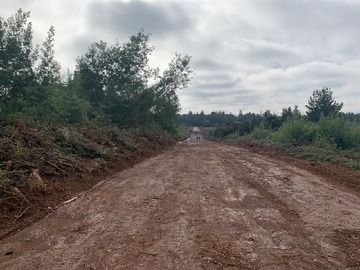 Camino parcela actualmente mejorado