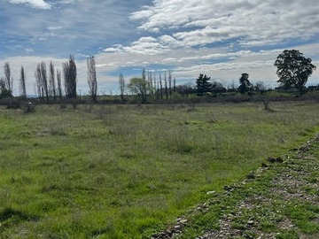 Venta / Parcela / Parral
