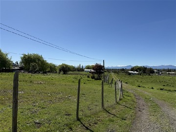 Imagen 7