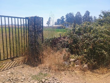 Venta / Parcela / Parral