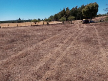 Venta / Parcela / Parral