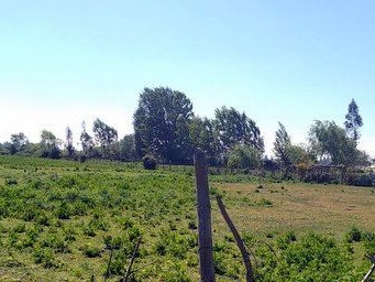 Venta / Parcela / Parral