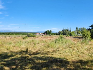 Venta / Parcela / Parral