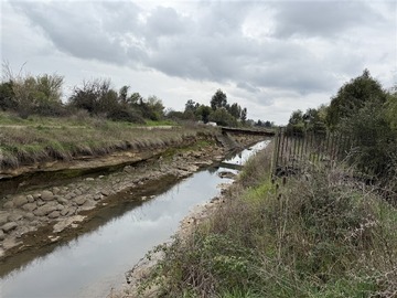 Imagen 6