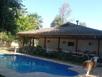 Imagen 4