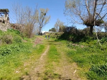 Imagen 9