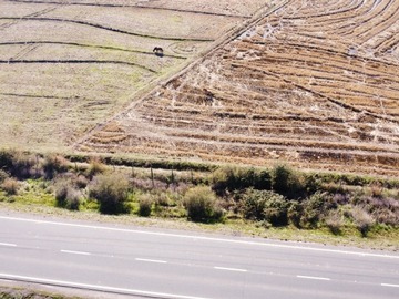 Imagen 14