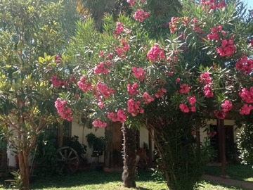 Imagen 6