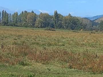 Terreno plano