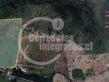 Imagen 10
