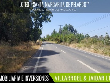 Venta / Parcela / Pelarco