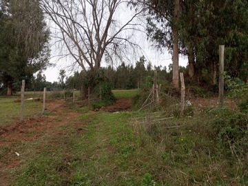 Imagen 18