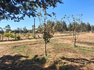 Venta / Parcela / Pelarco