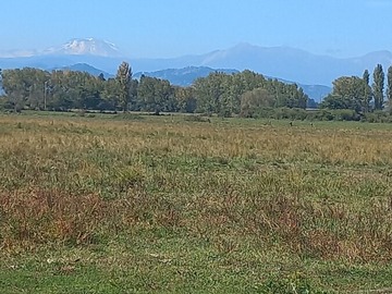 Terreno plano