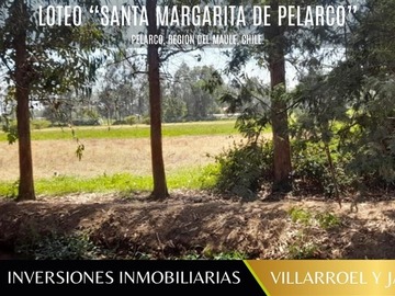 Venta / Parcela / Pelarco