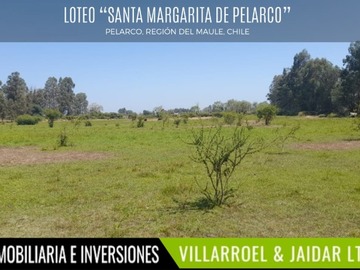 Imagen 7