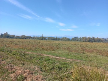 Terreno plano