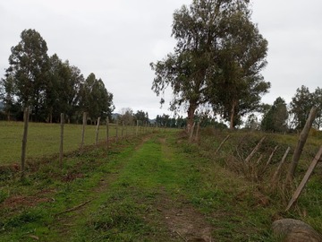 Imagen 38