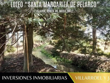 Imagen 7