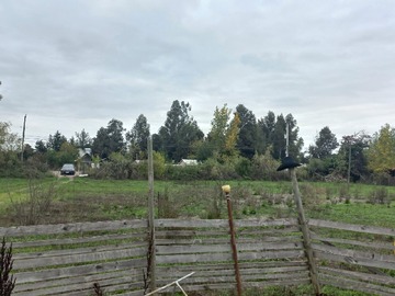 Imagen 9