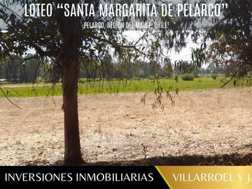 Imagen 10