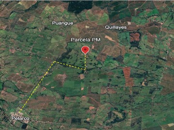 Vista aérea cercana Pelarco