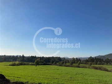 Venta / Parcela / Pelarco