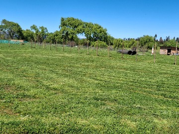 Venta / Parcela / Pelarco