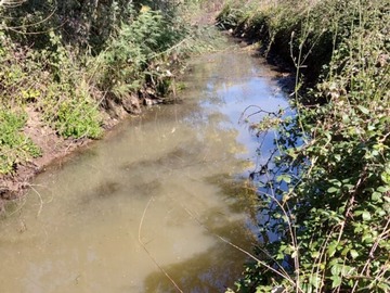 Derechos de agua