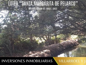 Imagen 13