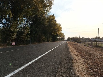 Orilla de camino