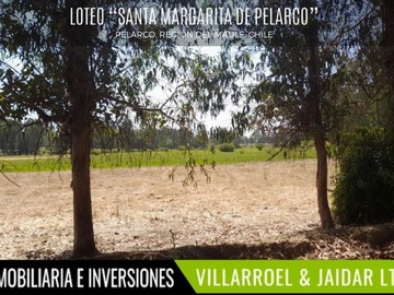 Imagen 5