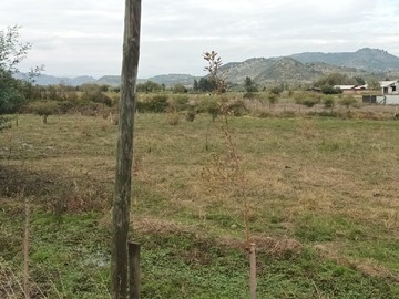Imagen 6