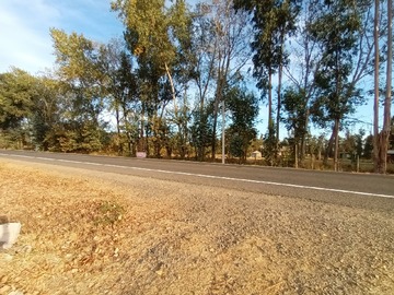Orilla de camino
