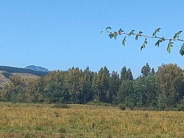 Terreno plano