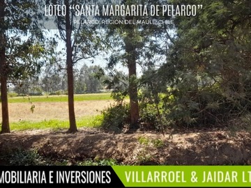 Imagen 6