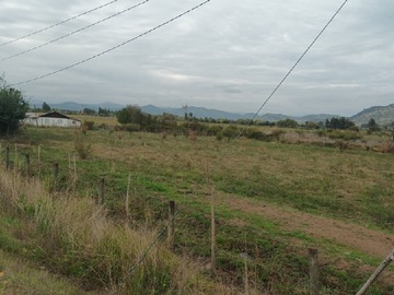 Imagen 7