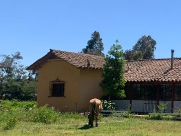 Venta / Parcela / Pelarco