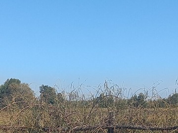 Terreno plano