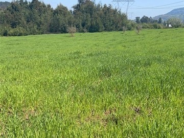 Venta / Parcela / Pelarco