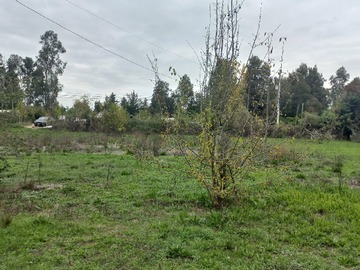 Imagen 20