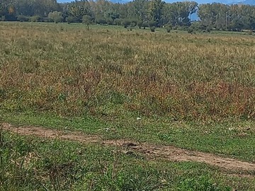 Terreno plano