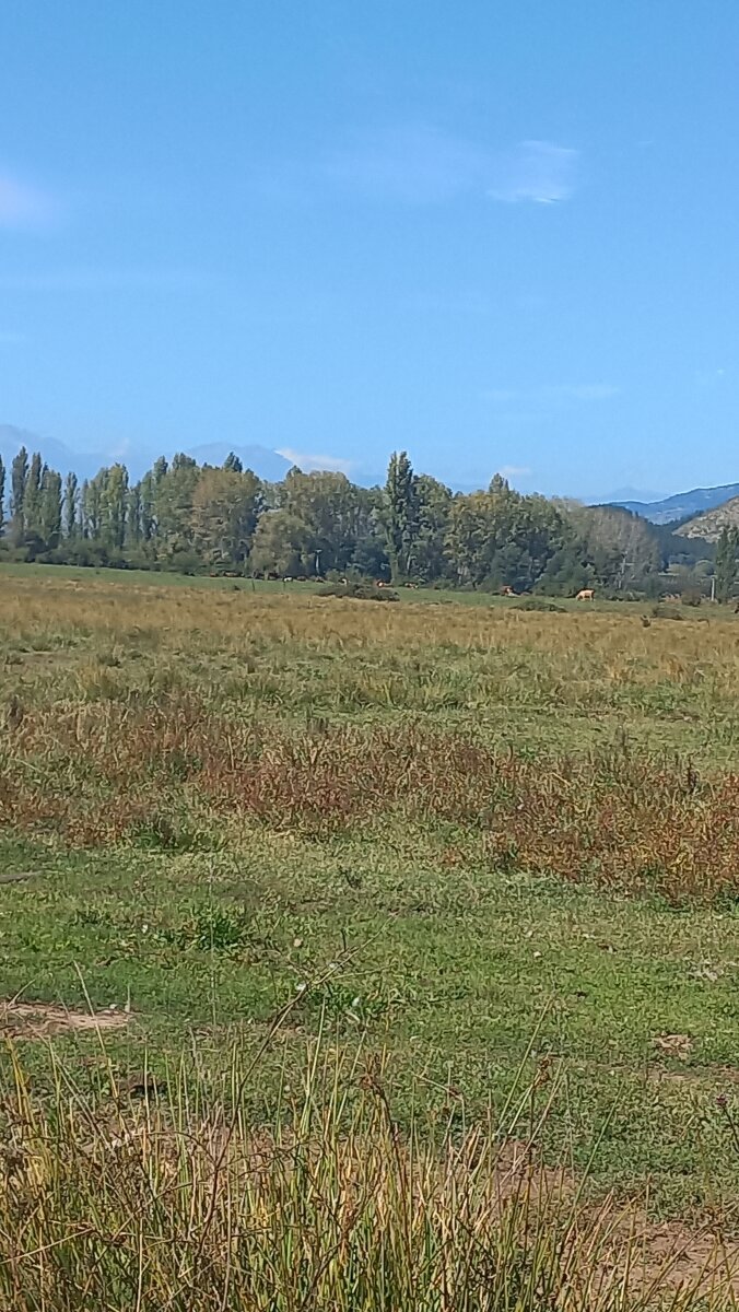 Terreno plano