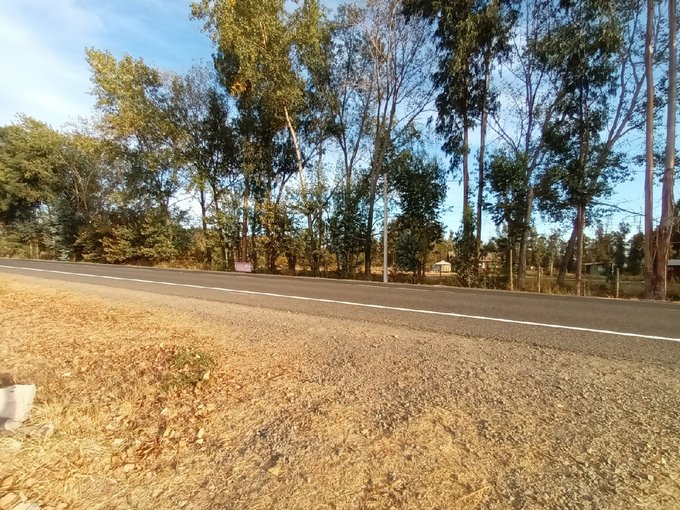 Orilla de camino